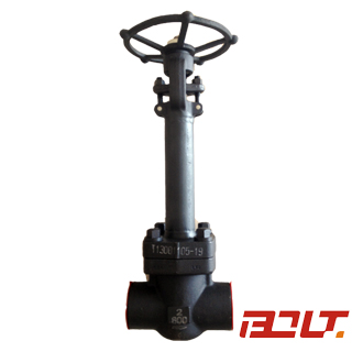Cryogenic Gate Valve — PVPeW 2026