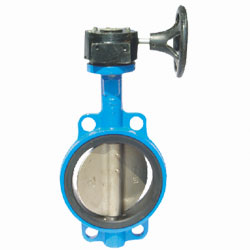 Worm-Gear Operated Wafer Rubber-Lined Butterfly Valve — PVPeW 2026
