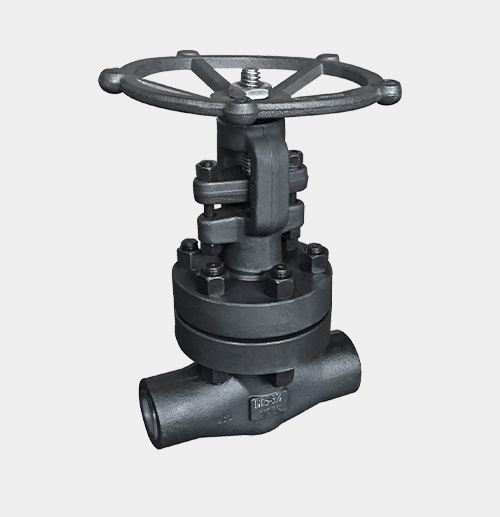 Welded Gate Valve — PVPeW 2026