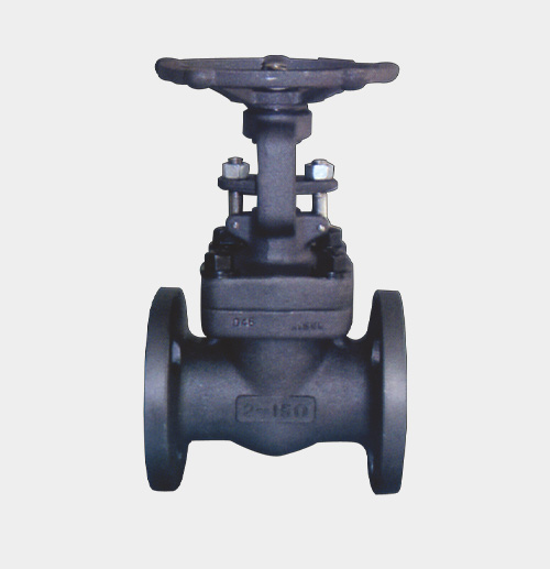 ASME-Standard Flanged Gate Valve — PVPeW 2026
