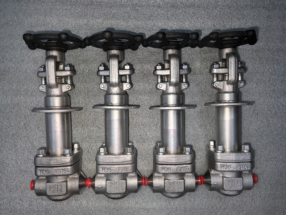 Cryogenic Bellows-Sealed Globe Valve — PVPeW 2026