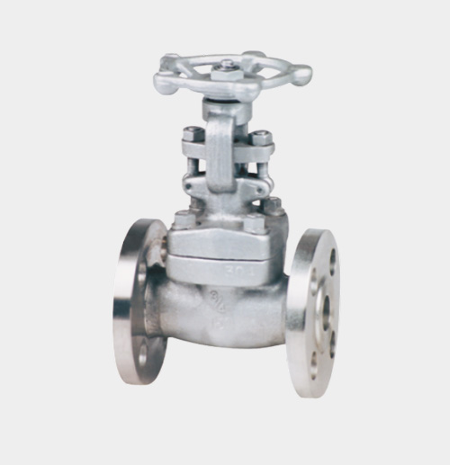 Flanged Gate Valve — PVPeW 2026