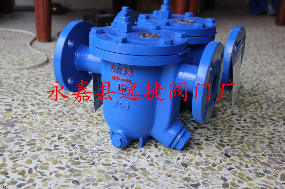 Float-Type Steam Trap — PVPeW 2026