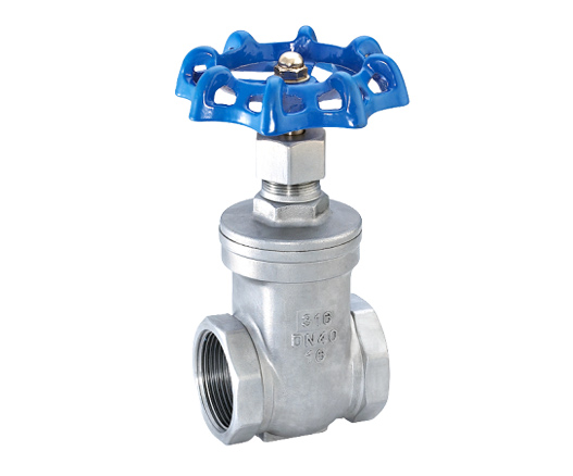 Stainless Steel Gate Valve — PVPeW 2026