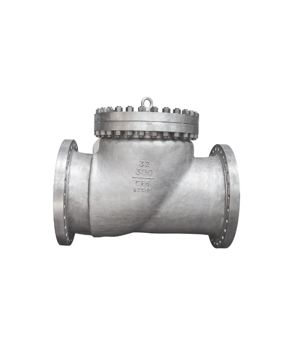 ASME-Standard Stainless Steel Swing-Type Check Valve — PVPeW 2026