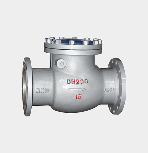 Swing-Type Check Valve — PVPeW 2026