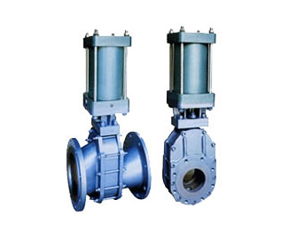 Gate Valve — PVPeW 2026