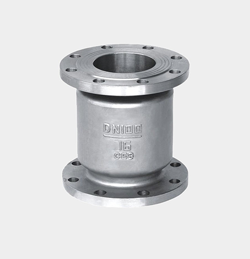 Vertical Check Valve — PVPeW 2026