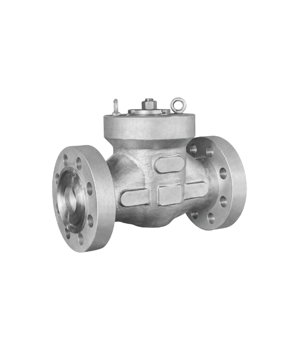 GB-Standard Check Valve — PVPeW 2026