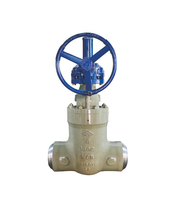 ASME-Standard Gate Valve — PVPeW 2026