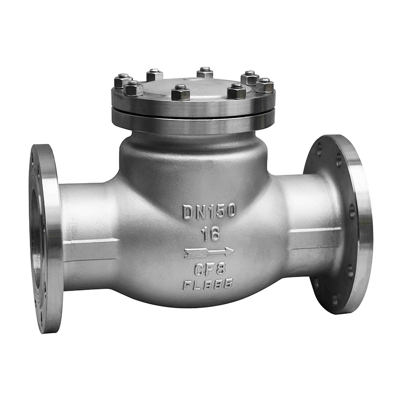 Swing-Type Check Valve — PVPeW 2026