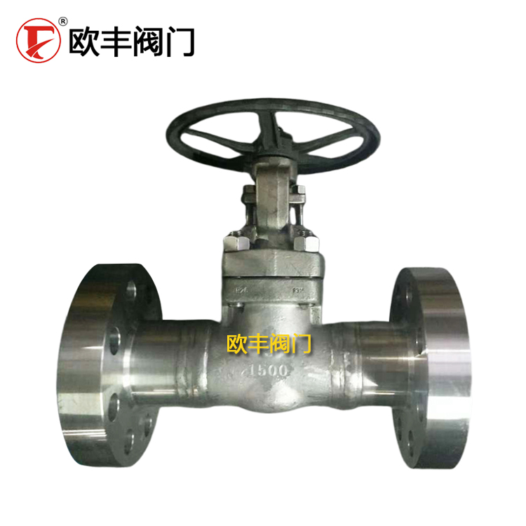F316L Bellows-Sealed Gate Valve Manual Flanged Bellows-Sealed Gate Valve — PVPeW 2026