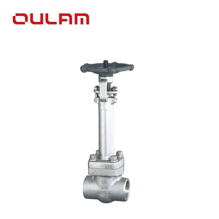 Stainless Steel Gate Valve — PVPeW 2026