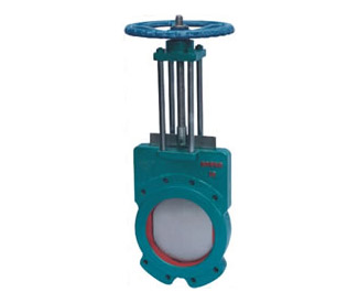Cast Iron Wafer-Style Industrial Valve — PVPeW 2026