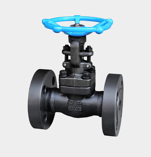 Flanged Gate Valve — PVPeW 2026