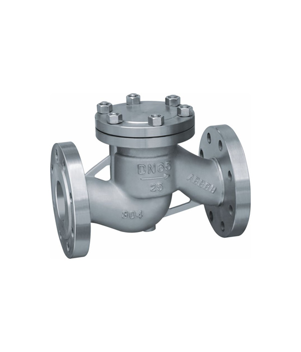 Lift-Type Check Valve — PVPeW 2026