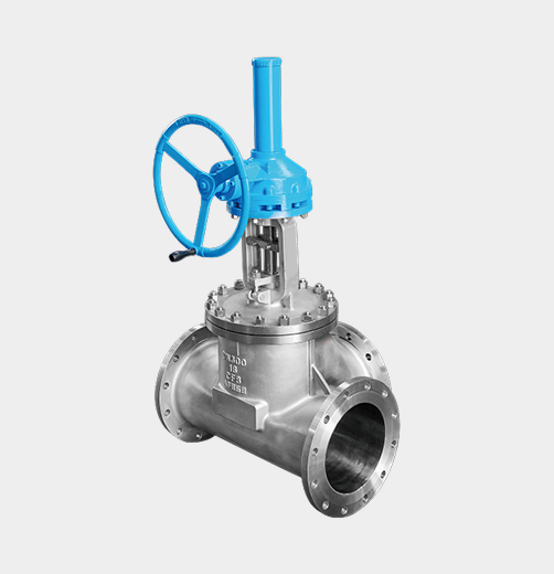 Stainless Steel Gate Valve — PVPeW 2026