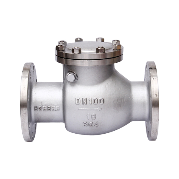 Stainless Steel Swing-Type Check Valve — PVPeW 2026