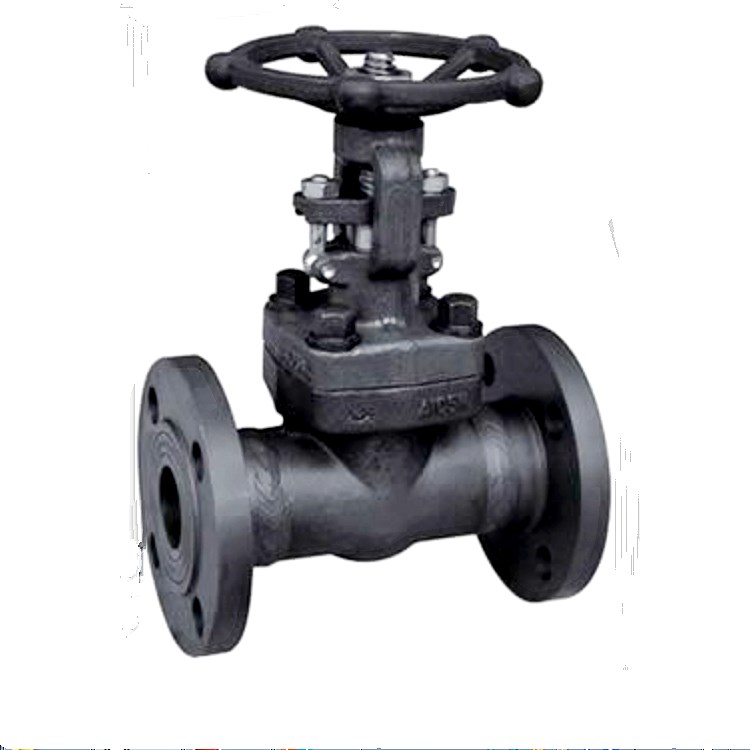 Gate Valve — PVPeW 2026