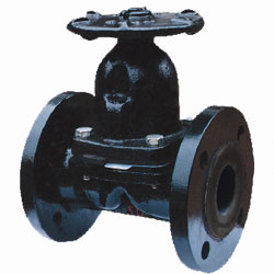 BS-Standard Diaphragm Valve — PVPeW 2026