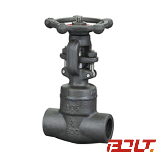 Socket-Weld Gate Valve Z61H/Z61Y/Z61W — PVPeW 2026