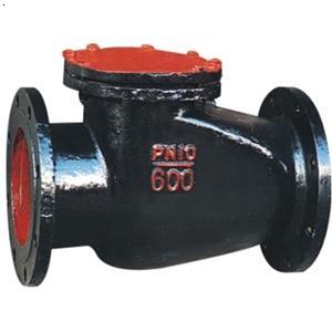 Check Valve — PVPeW 2026