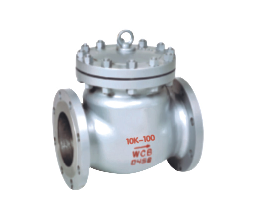 Check Valve — PVPeW 2026