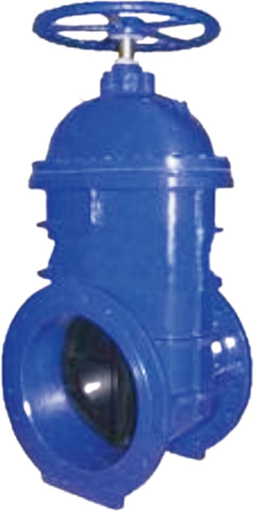 Resilient-Seated Gate Valve — PVPeW 2026
