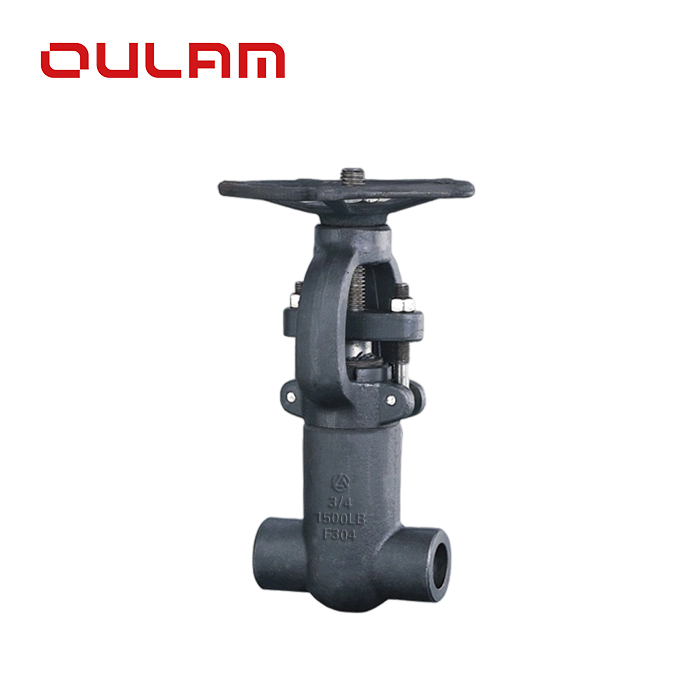 Stainless Steel Gate Valve — PVPeW 2026