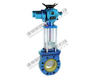 Gate Valve — PVPeW 2026