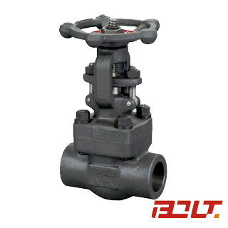 Gate Valve — PVPeW 2026
