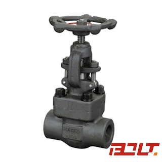 Globe Valve J11H/J61H/J11Y/J61Y — PVPeW 2026