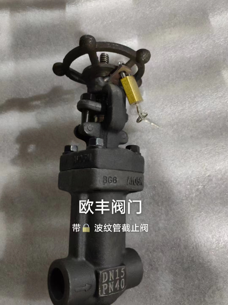 Bellows-Sealed Globe Valve — PVPeW 2026
