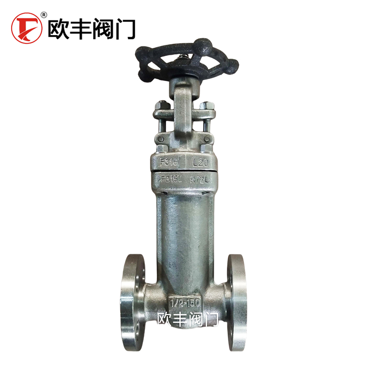 F316L 1500Lb Bellows-Sealed Industrial Valve Flanged Stainless Steel Bellows-Sealed Globe Valve — PVPeW 2026