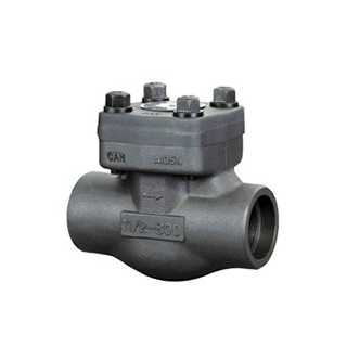 Check Valve — PVPeW 2026