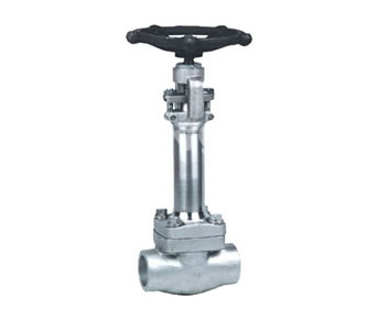 Cryogenic Gate Valve — PVPeW 2026