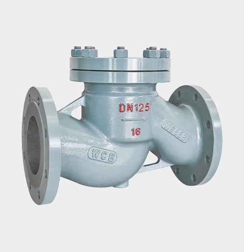 Cast Steel Lift-Type Check Valve — PVPeW 2026
