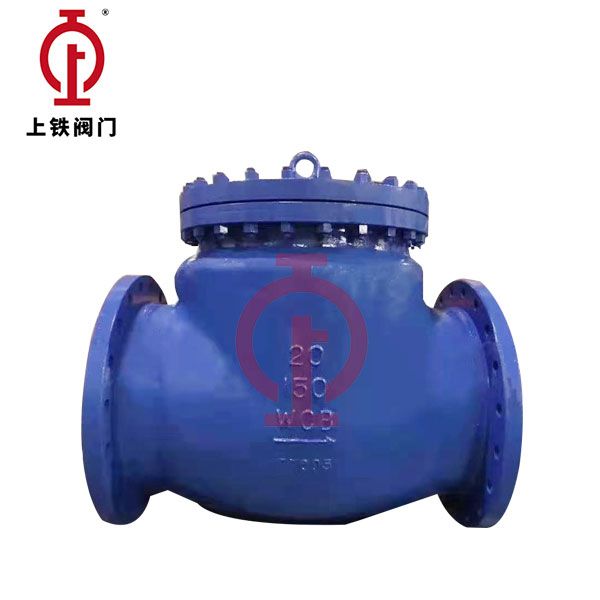 ASME-Standard Check Valve — PVPeW 2026