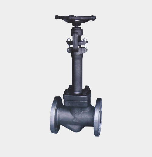 Cryogenic Globe Valve — PVPeW 2026