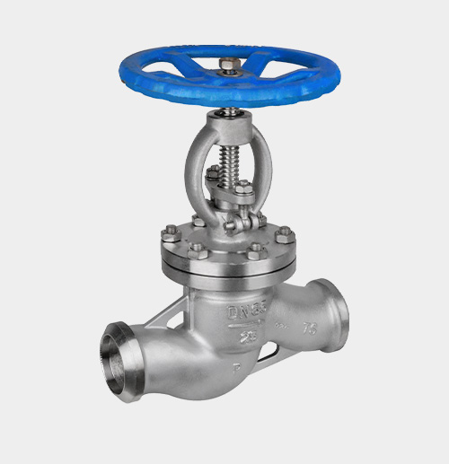 Stainless Steel Globe Valve — PVPeW 2026