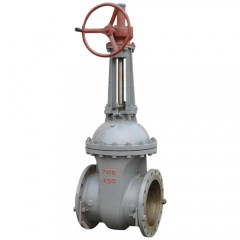 Cast Steel Gate Valve — PVPeW 2026