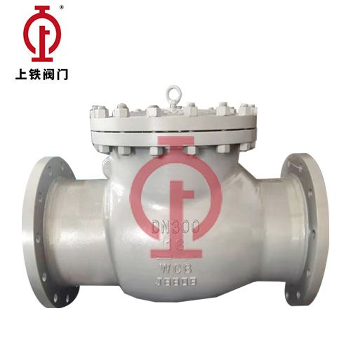 Dn300 Carbon Steel ASME-Standard Check Valve — PVPeW 2026