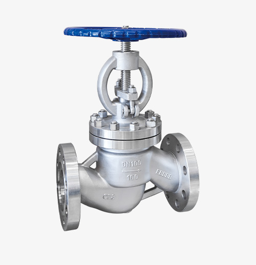 Stainless Steel Globe Valve — PVPeW 2026