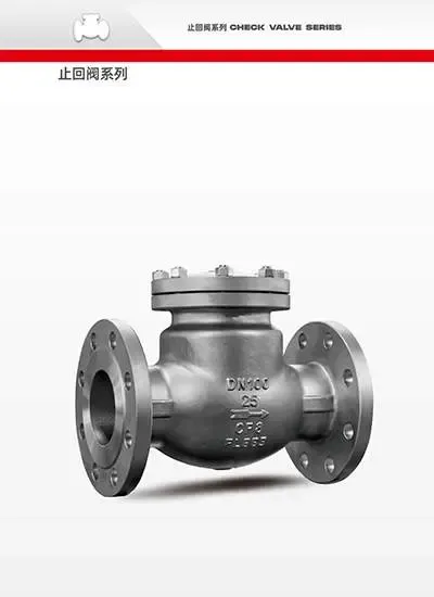 Check Valve — PVPeW 2026