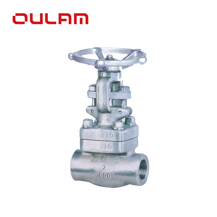 Stainless Steel Gate Valve Z61Y_ _ Gate Valve — PVPeW 2026