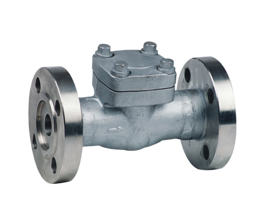 Flanged Check Valve — PVPeW 2026