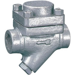 Cs49H-40 Steam Trap — PVPeW 2026