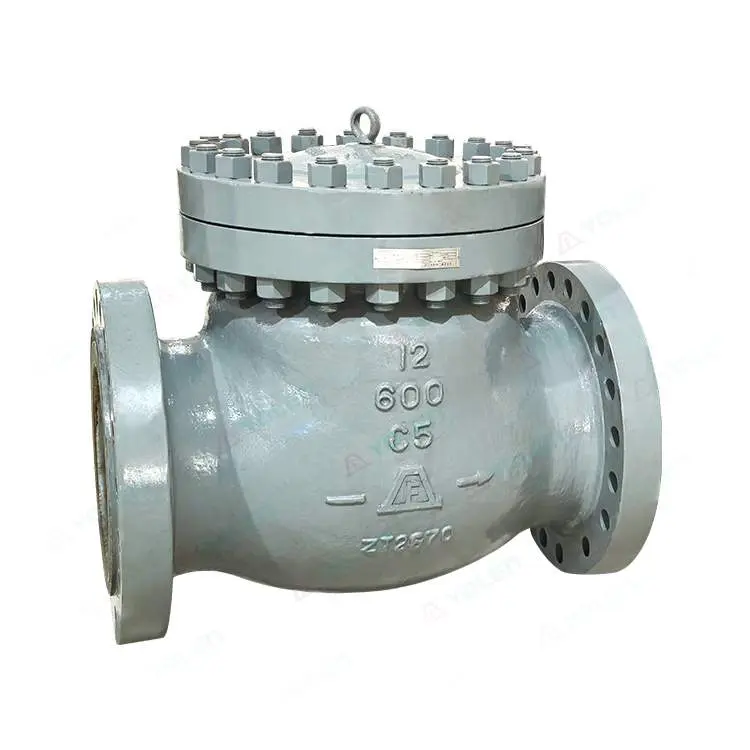 High-Pressure Swing-Type Check Valve — PVPeW 2026