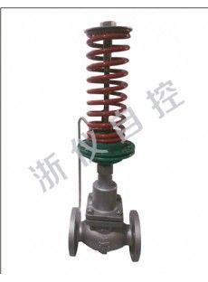 V230D02 Industrial Valve Control Valve — PVPeW 2026