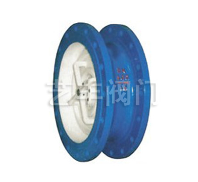 Cvkr Check Valve — PVPeW 2026